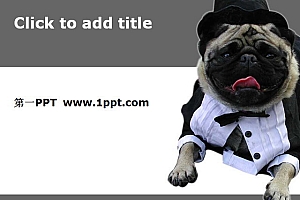 可爱小狗艺术PPT模板下载