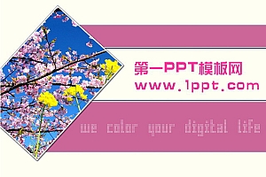 粉色桃花背景PPT模板下载