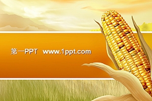 丰收的喜悦玉米背景PPT模板