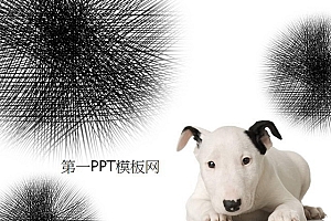 可爱的斑点狗背景PPT模板下载