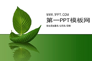 简洁树叶背景植物PPT模板下载