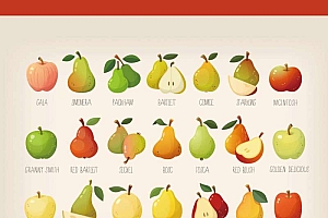 苹果梨水果图标设计素材