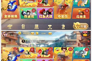 最新网狐荣耀597娱乐完整组件+支付接口+带教程