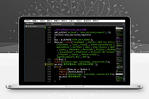 Sublime Text v4.0.0特别版 流行的代码编辑器