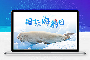 国际海豹日——野生动物保护ppt模板