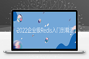 2022企业级Redis入门到精通