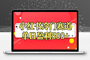 小红书冷门赛道，单日盈利500+【揭秘】