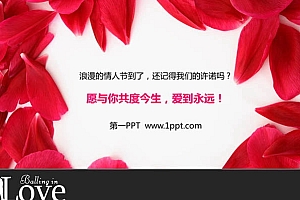 玫瑰花瓣背景情人节PPT模板下载