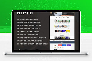 最新日主题RiPro v8.6 无域名限制版