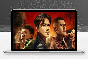 中国香港动作犯罪电影《扎职2：江湖陌路》解说文案完整版